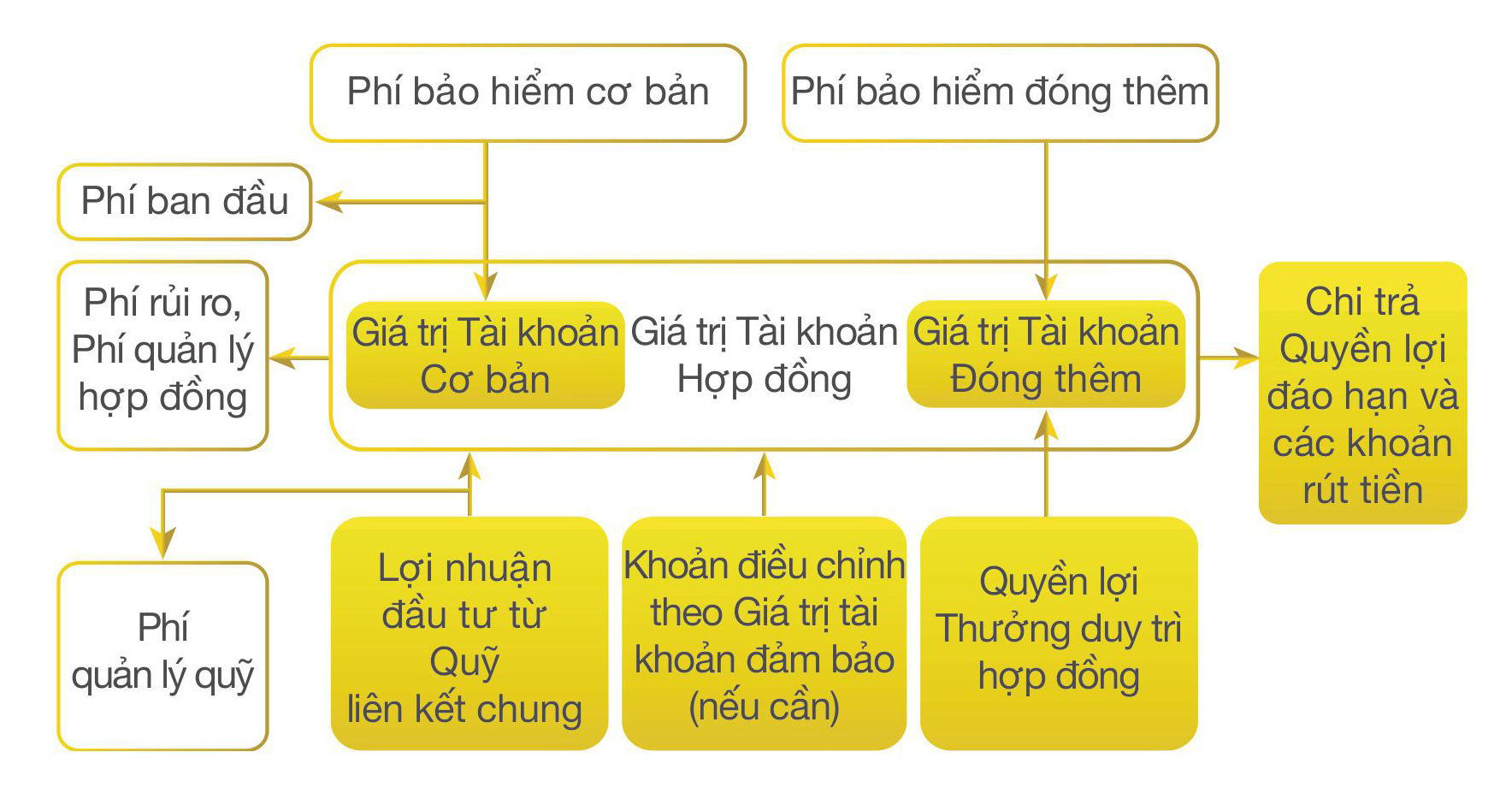 Cơ chế hoạt động An Tâm Hoạch Định