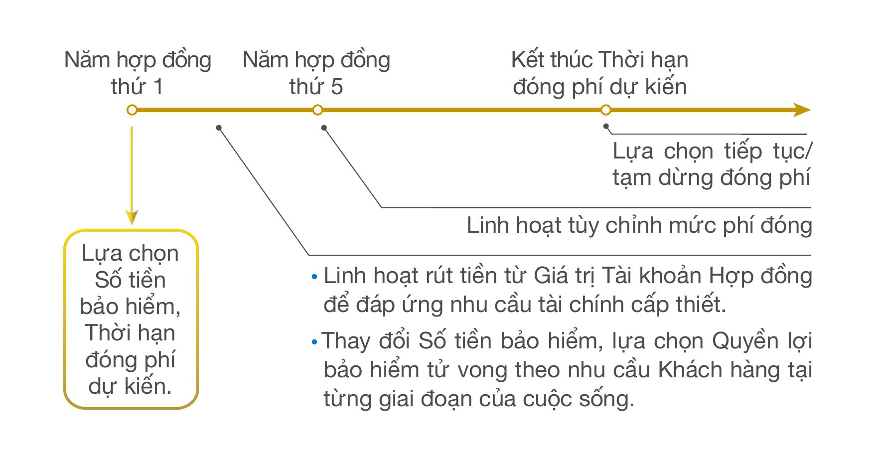 giải pháp linh hoạt an tâm hoạch định