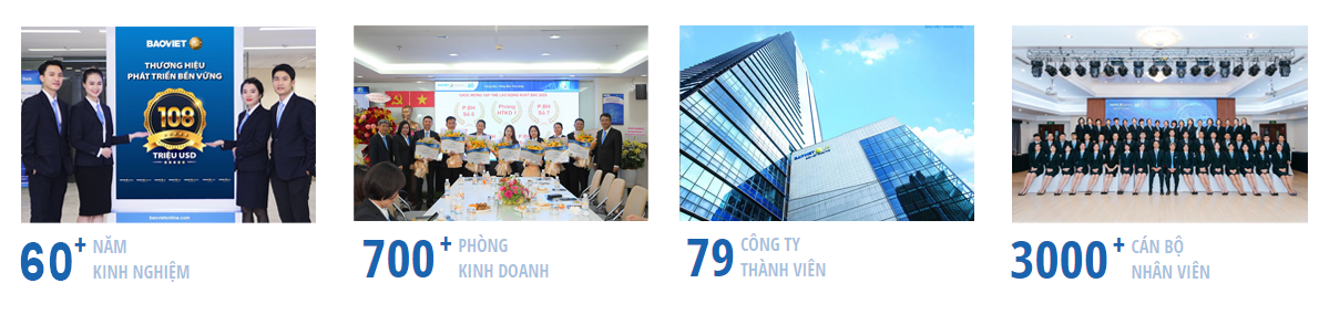 Mang luoi kinh doanh bao viet mien nam