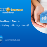 an-tam-hoach-dinh-la-giai-phap-tich-luy-hay-chien-luoc-bao-ve-kienthuc