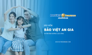 Bảo hiểm Bảo Việt An Gia