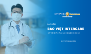 Bảo hiểm Bảo Việt Intercare