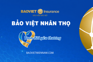 bao-hiem-bao-viet-nhan-tho