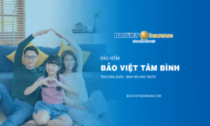 Bảo hiểm Bảo Việt Tâm Bình