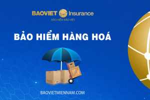 Bảo hiểm hàng hoá Bảo Việt