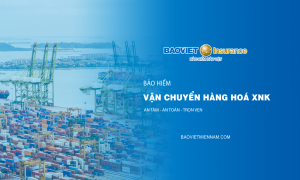 Bảo hiểm vận chuyển hàng hoá xuất nhập khẩu