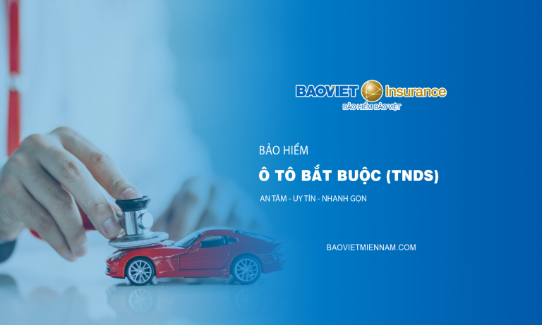 bảo hiểm ô tô bắt buộc (TNDS)