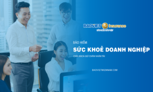 Bảo hiểm sức khoẻ cho doanh nghiệp hoặc tổ chức