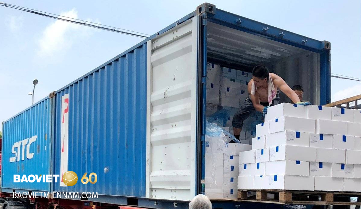 Bảo hiểm vận chuyển hàng hoá đại lý Bảo Việt Miền Nam