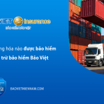 cac-loai-hang-hoa-nao-duoc-bao-hiem-va-loai-tru-bao-hiem-bao-viet-kienthuc