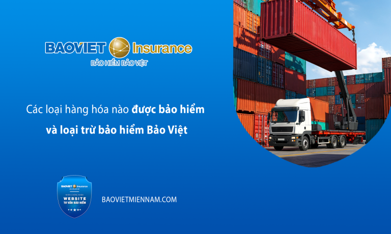 cac-loai-hang-hoa-nao-duoc-bao-hiem-va-loai-tru-bao-hiem-bao-viet-kienthuc
