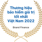 danh-hieu-bao-viet-3