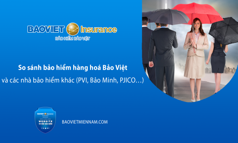 so-sanh-bao-hiem-hang-hoa-bao-viet-va-cac-nha-bao-hiem-khac-kienthuc