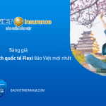 Bảng gi&aacute; bảo hiểm du lịch quốc tế Flexi Bảo Việt mới nhất