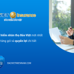 Bảng gi&aacute; c&aacute;c g&oacute;i bảo hiểm nh&acirc;n thọ Bảo Việt mới nhất