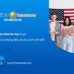 Bảo hiểm du học l&agrave; g&igrave;? Quyền lợi, chi ph&iacute; v&agrave; những điều du học sinh cần biết