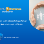 Bảo hiểm tai nạn con người mức cao Cologne Re l&agrave; g&igrave;? Quyền lợi v&agrave; l&yacute; do n&ecirc;n tham gia tại Bảo Việt