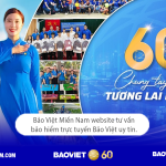 Bảo Việt Miền Nam Website bảo hiểm trực truyến Bảo Việt uy t&iacute;n