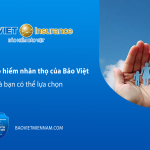 cac-goi-bao-hiem-nhan-tho-cua-bao-viet-ma-ban-co-the-lua-chon-kienthuc
