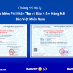 Chứng chỉ đại l&yacute; bảo hiểm Bảo Việt Miền Nam