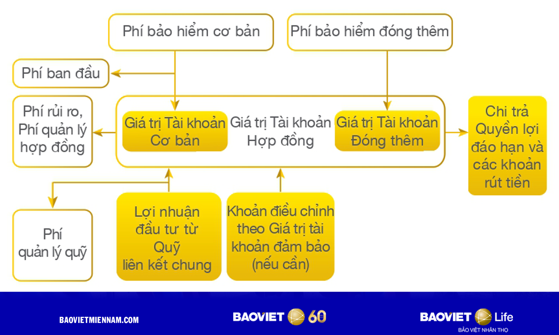 Cơ chế hoạt động bảo hiểm li&ecirc;n kết chung An Khang Như &Yacute; Bảo Việt