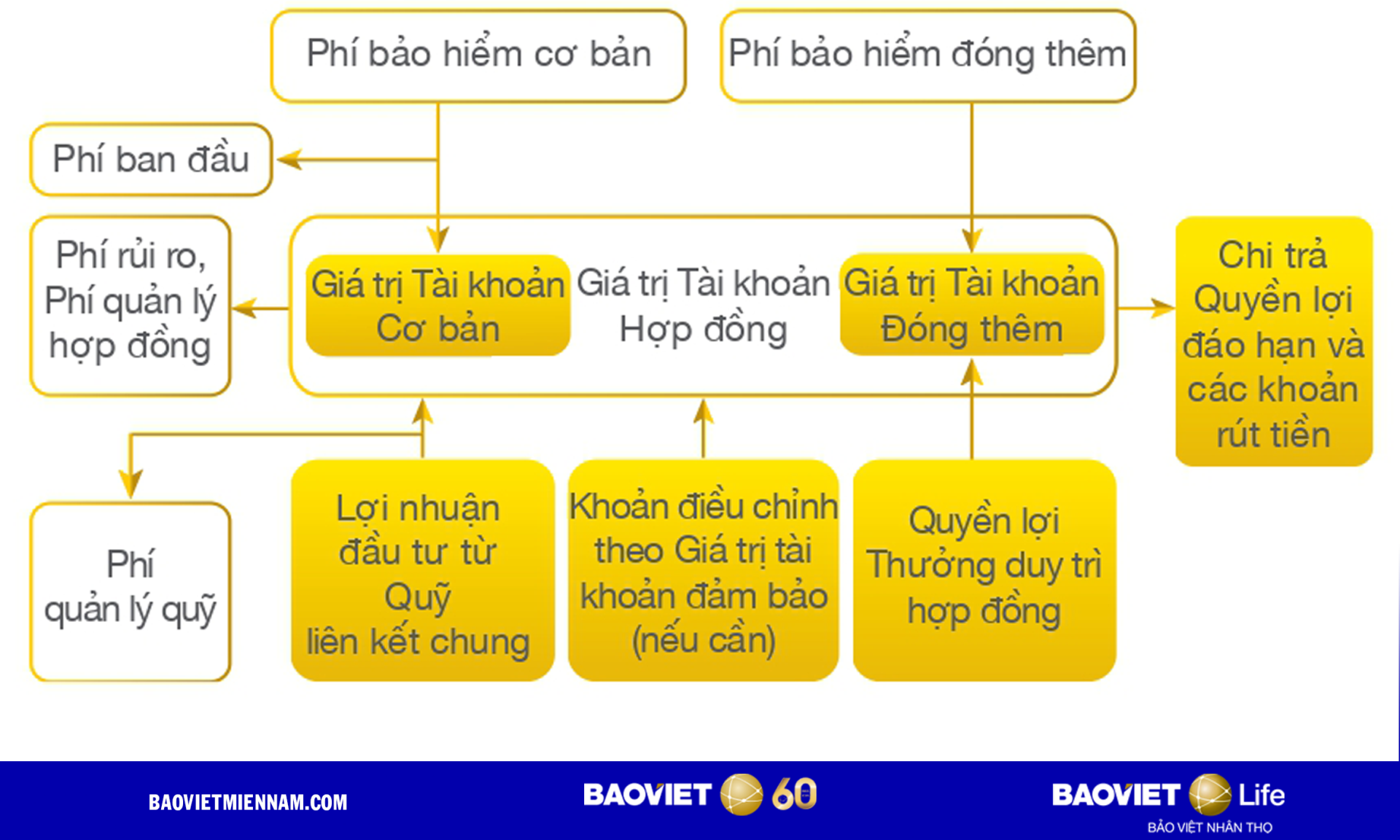 Cơ chế hoạt động của bảo hiểm li&ecirc;n kết chung An T&acirc;m Hoạch Định