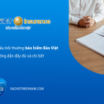 Hồ sơ y&ecirc;u cầu bồi thường bảo hiểm Bảo Việt - Hướng dẫn đầy đủ v&agrave; chi tiết