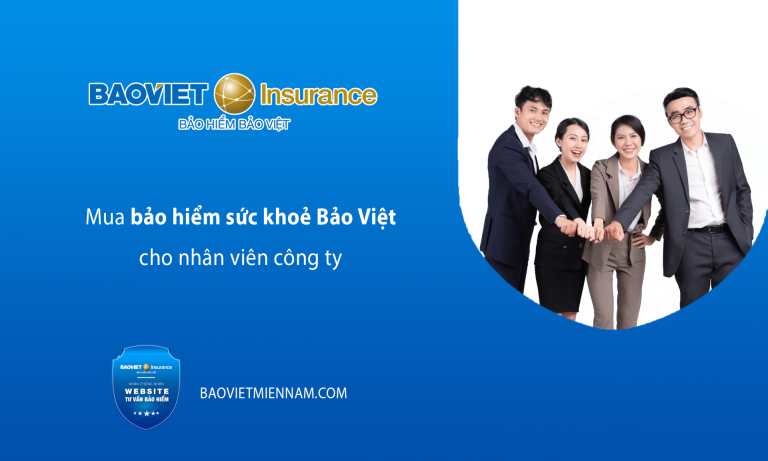 Mua bảo hiểm sức khoẻ Bảo Việt cho nhân viên công ty