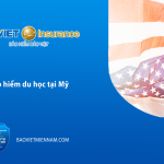Bảo hiểm du học tại Mỹ - Bảo Việt Miền Nam