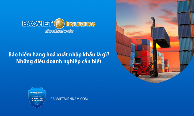 Bảo hiểm hàng hoá xuất nhập khẩu là gì? - Bảo Việt Miền Nam