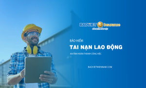 Bảo hiểm tai nạn lao động Bảo Việt