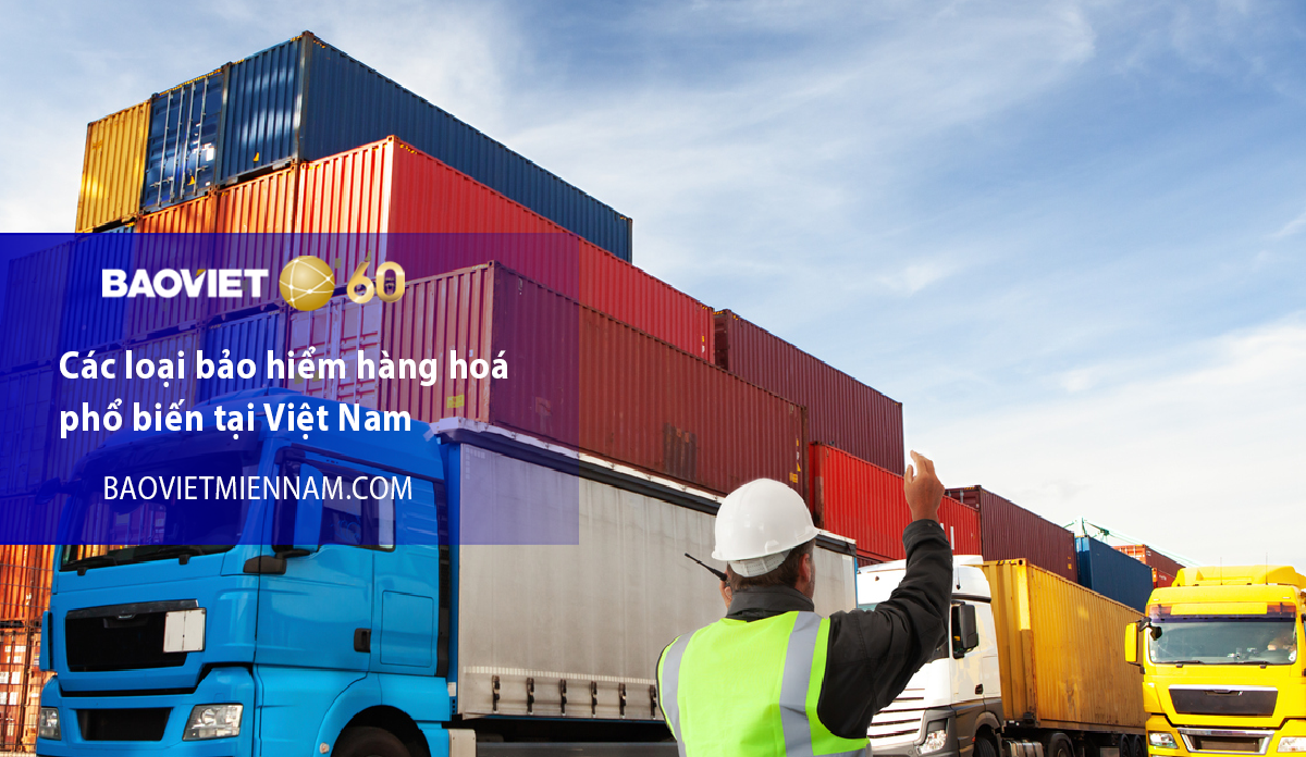 Cac loai bao hiem hang hoa pho bien tai viet nam chitietbai1