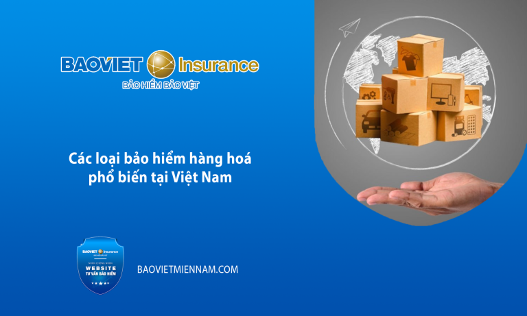 Các loại bảo hiểm hàng hoá phổ biến tại Việt Nam - Bảo Việt Miền Nam
