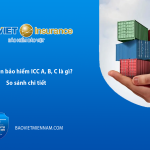 Điều kiện bảo hiểm ICC A, B, C l&agrave; g&igrave;