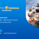 Incoterms l&agrave; g&igrave;? To&agrave;n bộ 11 điều khoản Incoterms giải th&iacute;ch dễ hiểu nhất