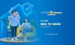 Bảo hiểm nhà tư nhân Bảo Việt