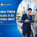 Bảo hiểm tnds bắt buộc &ocirc; t&ocirc; bao nhi&ecirc;u tiền?