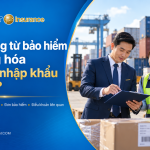 Chứng từ bảo hiểm h&agrave;ng ho&aacute; xuất nhập khẩu