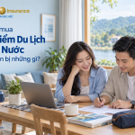 Thủ tục mua bảo hiểm du lịch trong nước của Bảo Việt