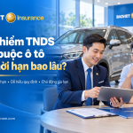 Bảo hiểm TNDS bắt buộc &ocirc; t&ocirc; c&oacute; thời hạn bao l&acirc;u v&agrave; c&aacute;ch gia hạn tại Bảo Việt