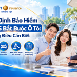 Quy định bảo hiểm TNDS bắt buộc &ocirc; t&ocirc; v&agrave; những điều chủ xe cần biết
